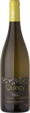 Quincy Les grandes vignes de Villalin